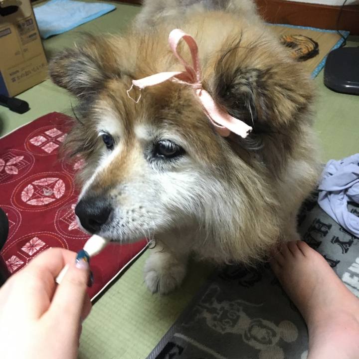 Cf81c932 53ef 4bea bd80 68c6f7a6942e 1582529744415