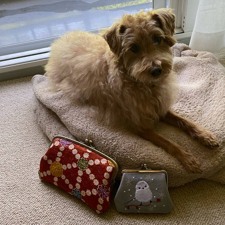 Cf81e65e 64ad 4f85 b0b6 2cfcba665f15 1623366441084