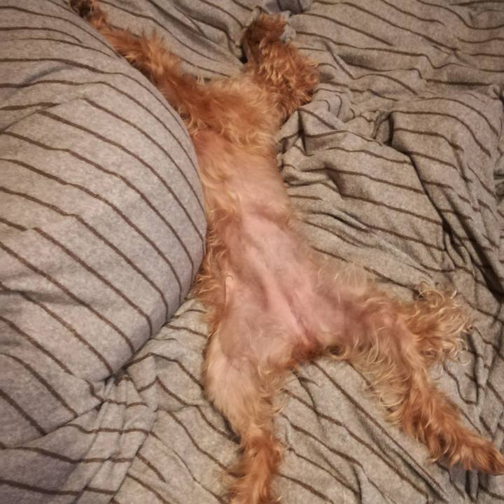 Cf821f4d ec8d 4a26 b576 9c911cebf520 1539038948293