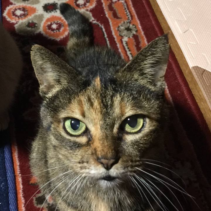 Cf8237c1 8775 4189 9cd8 808160f03e0a 1556712372825