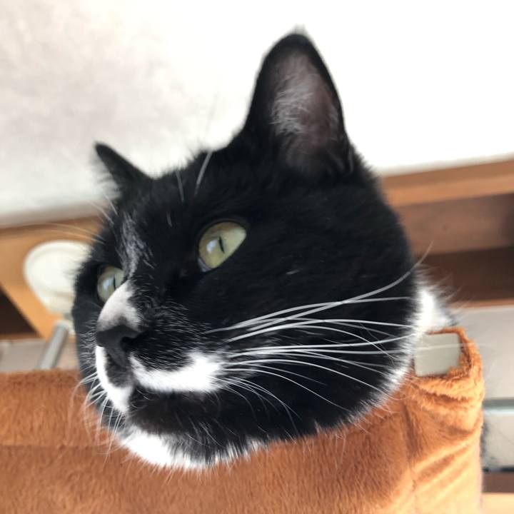 Cf8257af 1b0b 444b bcad 100c6edb8e6d 1615434250236