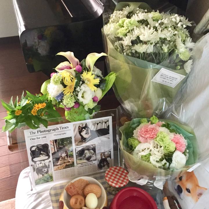 Cf827579 9b32 488d 82a5 921fed2bcef2 1568981506778