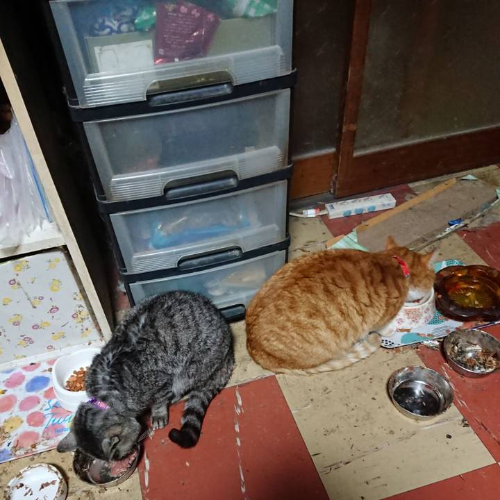 Cf82b5ef ddd3 4892 8694 2e8a0043425c 1578859117931