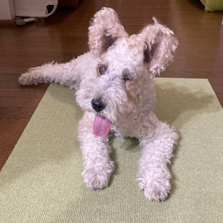 Cf82e051 6c80 4b4e 9f4f 771d78600091 1592658827790