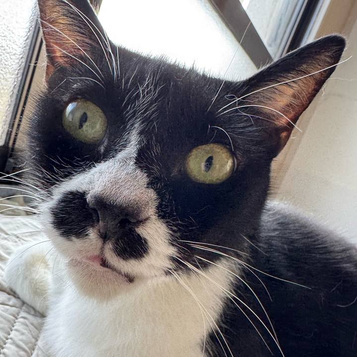 Cf83044f 6353 4c2d 8e0e 8ef22c1e4517 1756698220543