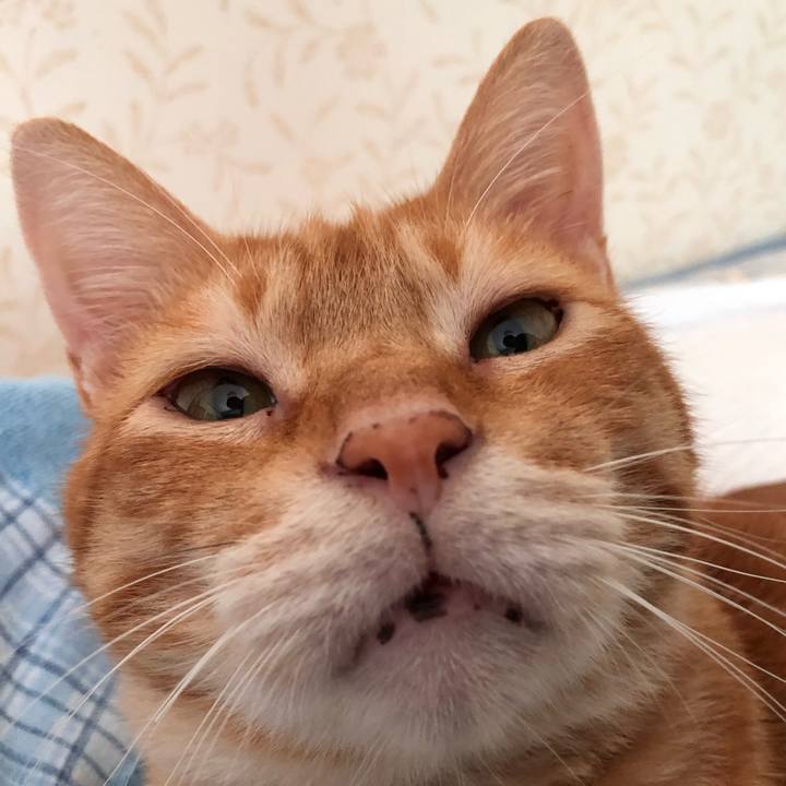 Cf833ff0 689a 45ed b42d 76489a95c80d 1565408947076