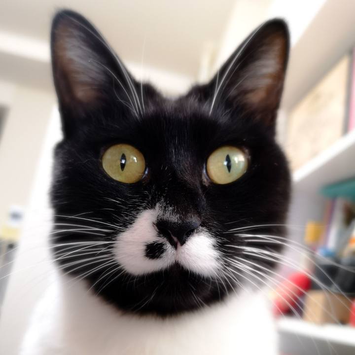 Cf83414e acad 4571 9366 82cd0e23eaad 1579576843597