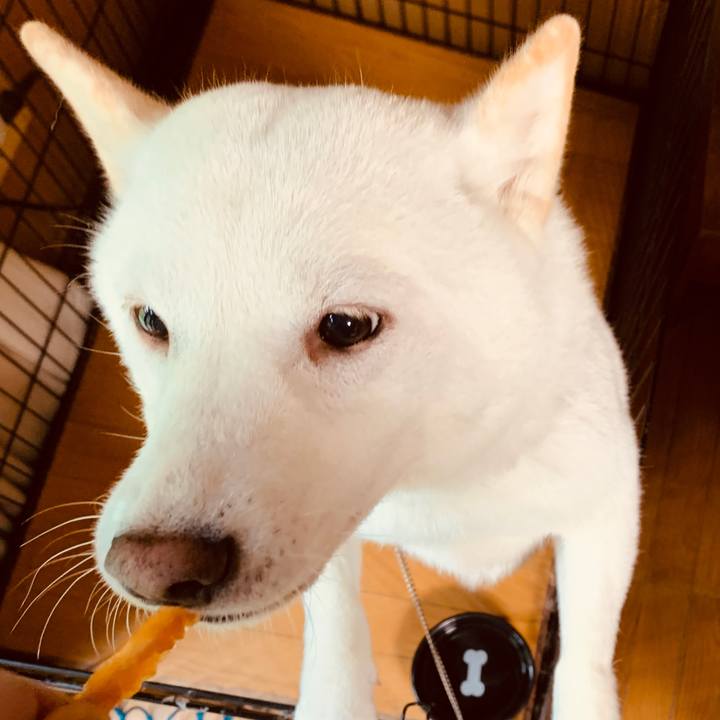 Cf838995 1e2d 4916 a2c8 7eddc189c0c9 1571864985773