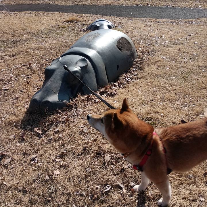 Cf83949e fb2d 4c04 91e0 5f300715a375 1737788689083