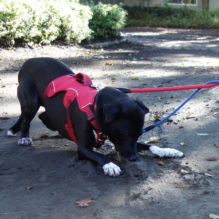 Cf8395f2 f106 4406 8536 e0ea5cb09b9d 1601251437105