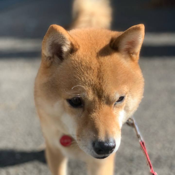 Cf83abe9 2450 4188 a737 f6398ef8b585 1774533751313