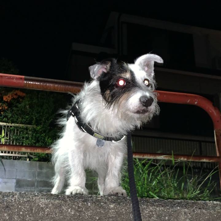 Cf83aeed cf02 4295 aed0 23f5899649fc 1730294465304