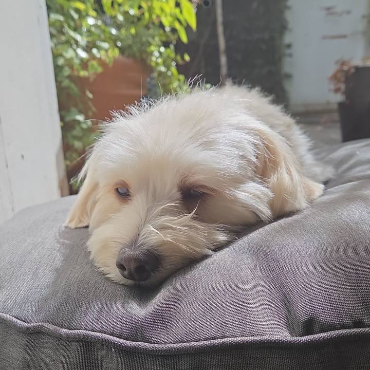 Cf83de1e 0eb4 4156 ac00 2817db84e765 1756470069898