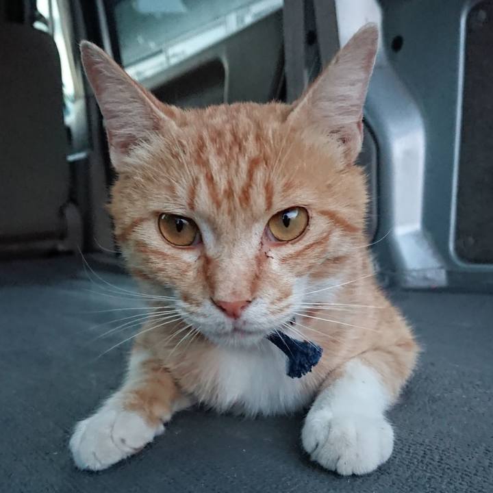 Cf8450cf 2be4 47da 87b6 e4c1370f7d74 1560334059966