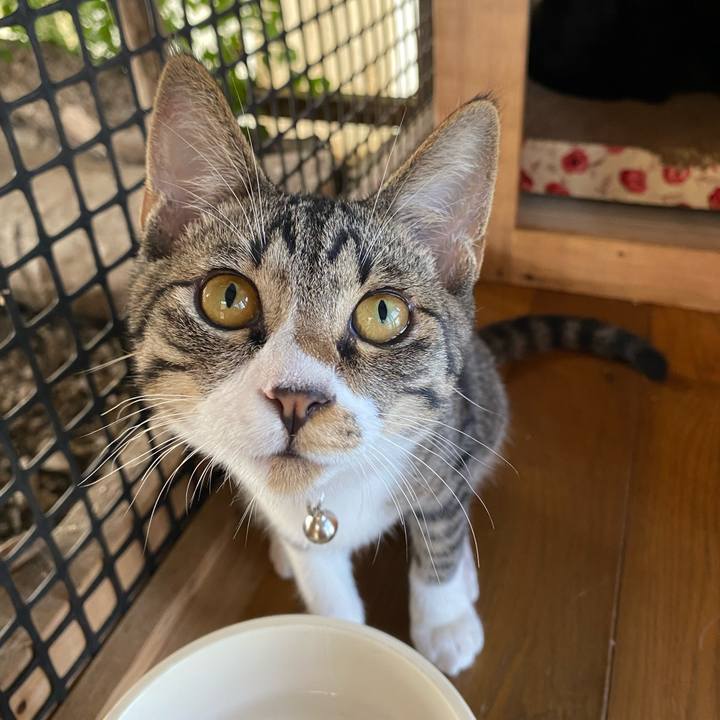 Cf850a69 a7c9 4bfc 93c1 18b6226d3381 1632014025336