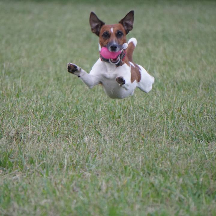 Cf851021 332b 47ba a748 4aba378adf38 1539125441248