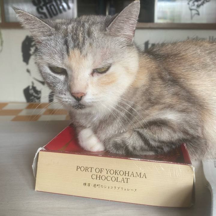 Cf851231 1e1c 4149 ab16 4f7823d39705 1757729187495