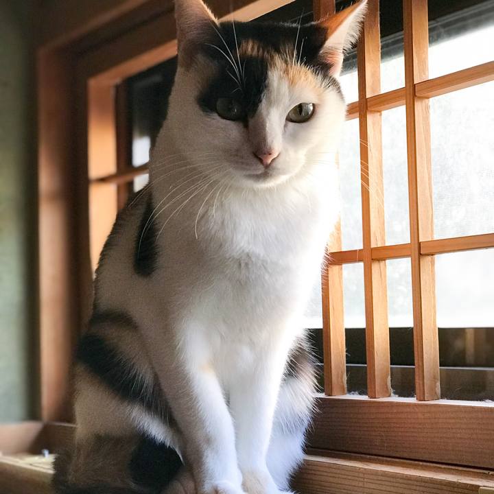 Cf853cbb f4d0 4928 946a c5515a1bc405 1511880462962