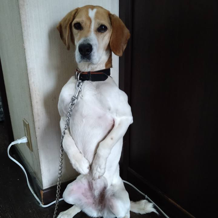 Cf859969 bf5f 4620 8d35 99774a50c7bd 1648737262954