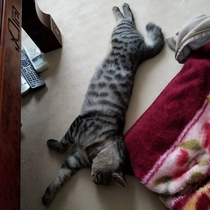 Cf85daee 72bb 43fd 956d 2f340b8d39ff 1671861551749