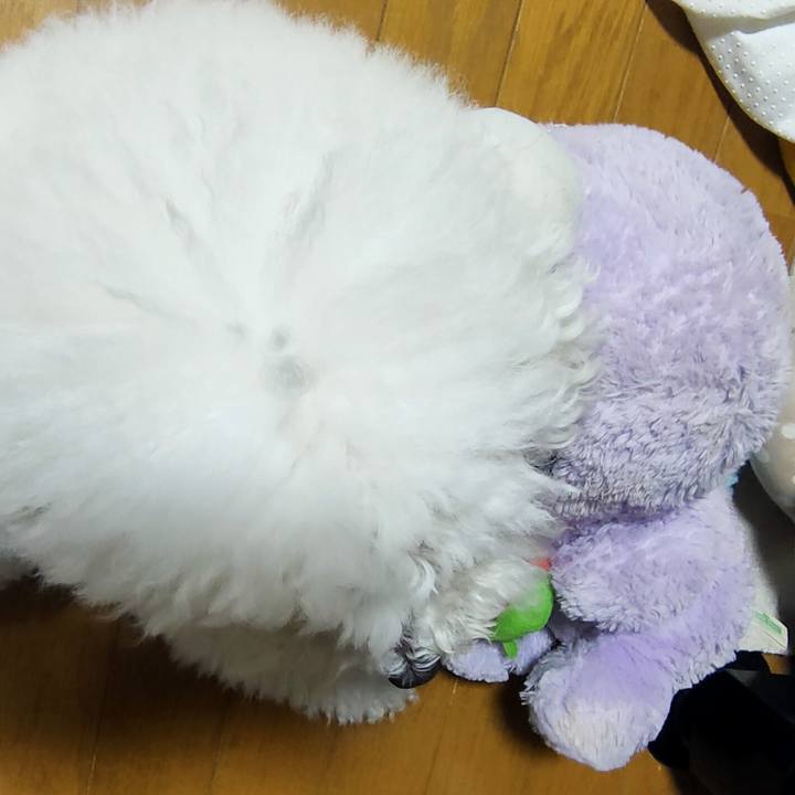 Cf861ac3 6642 4376 b0ef 3d93ddd9187e 1750716848282