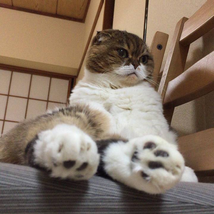 Cf863587 2233 4f2f bc85 3d02ea3eb1e0 1514807561938