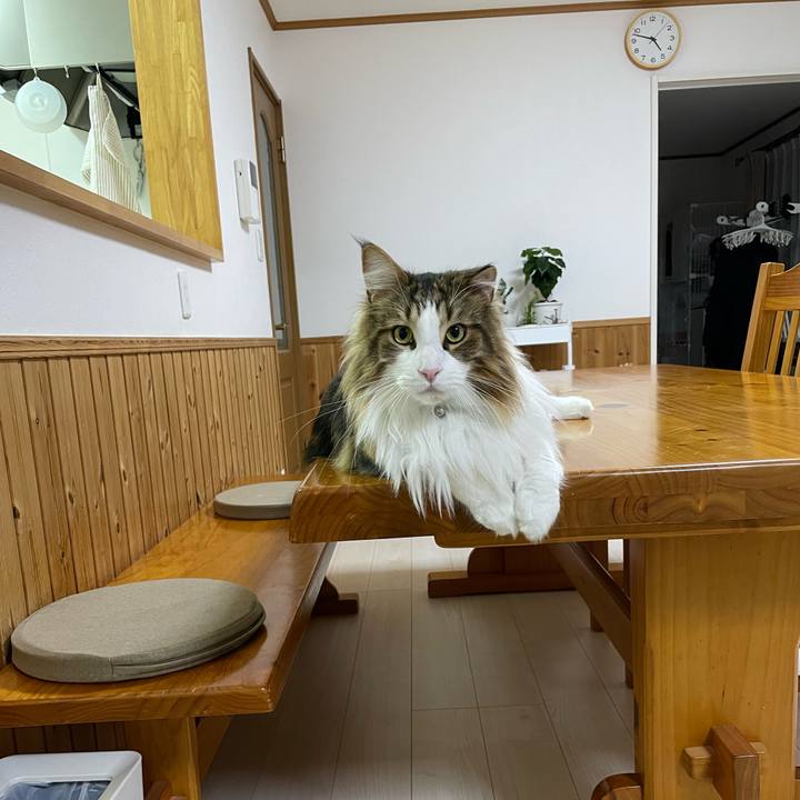 Cf868c6c 3e7f 4bcb 8fb8 d22675fd71ff 1671566215183