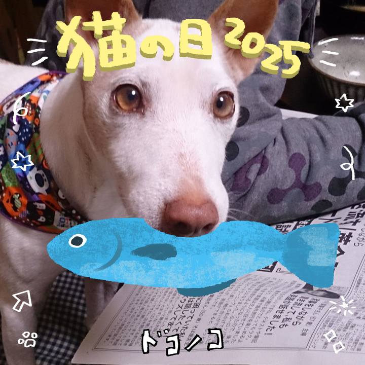 Cf868e95 2f68 4cad 961f df291d99c870 1740175755467