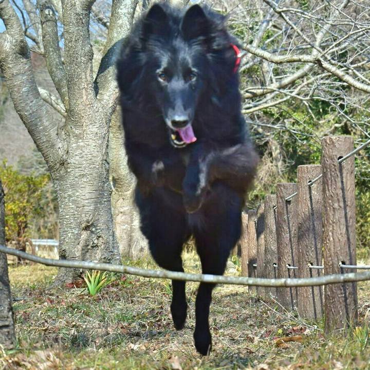 Cf86baf0 8336 4454 9f6a 43c32845d2e5 1518678039288