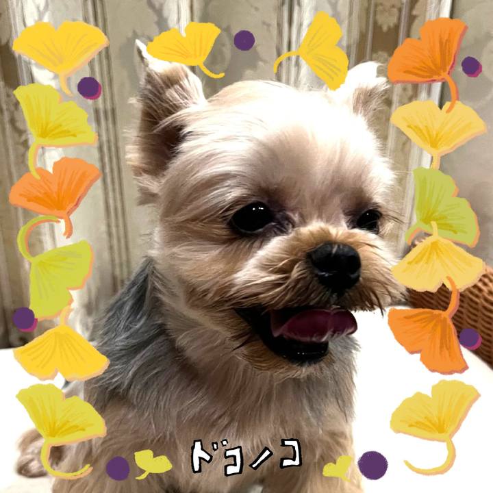 Cf86cd33 5e85 48eb 851c 2fb5f77fba0b 1730439789717