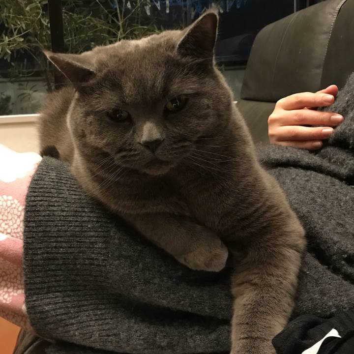 Cf86f6bb d972 44f5 809d 51ab98461896 1521377647585