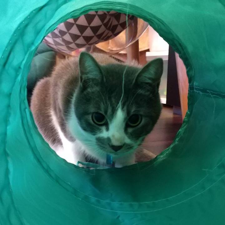 Cf872668 c6d3 4dd4 9a91 e106af6c255f 1602371794650