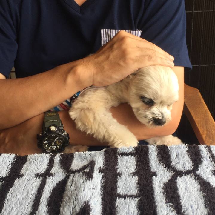 Cf872c40 0faa 4eb8 abe0 b8f08cd5218a 1534682029093