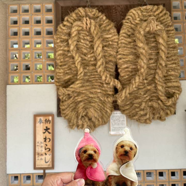 Cf872da0 8b71 4fec 8795 c7fc67f2998b 1777019138301