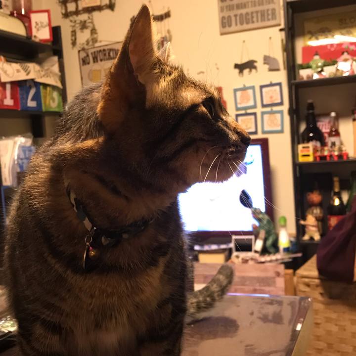 Cf873d8d 1240 4e55 b8e7 1a9e2e2d1ff7 1619786839675