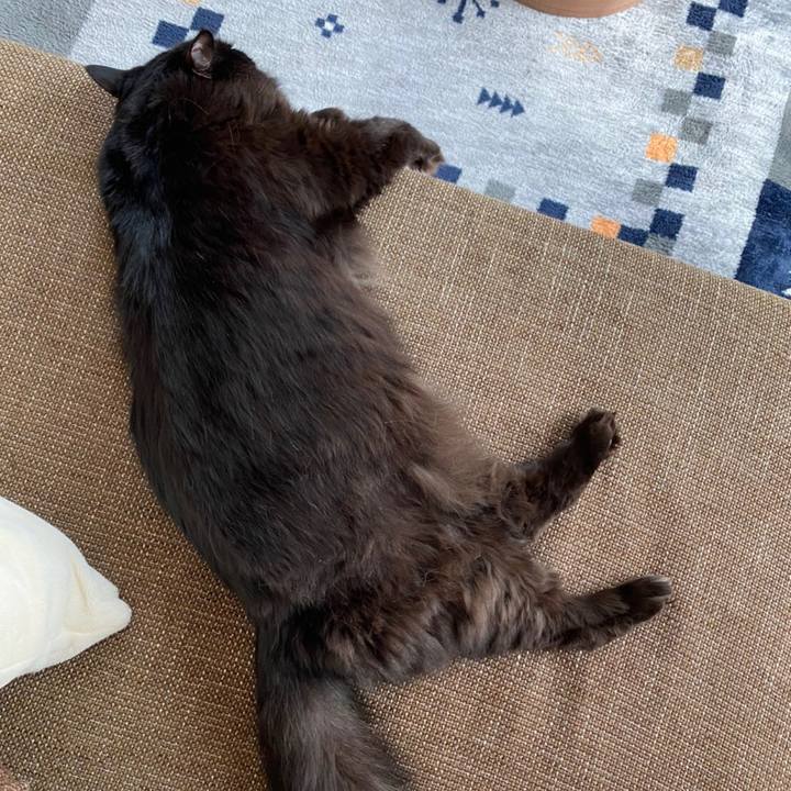 Cf874a4d 2a88 4cb2 993a a6211316dbaa 1588496373062