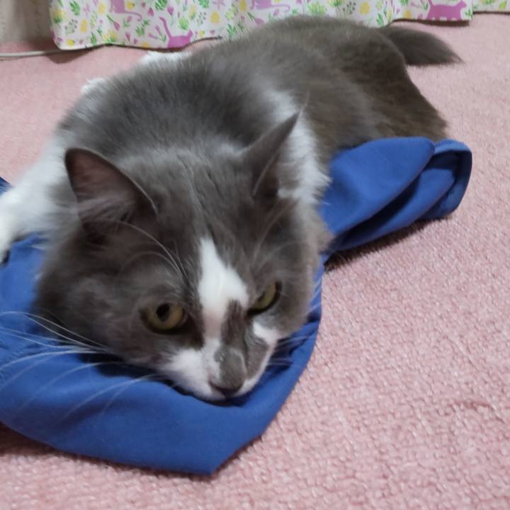 Cf8754c3 9199 4a88 b935 cd2c025fbdc2 1634206026913