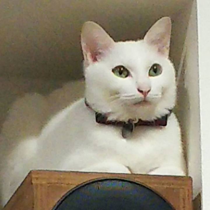 Cf8758e9 ec35 4687 a5bb d5a0c79a3a11 1516636769069