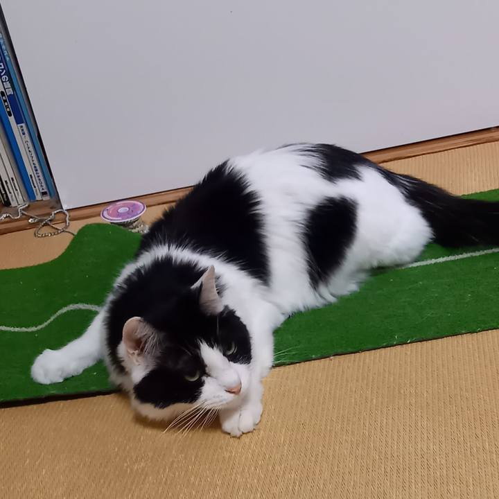 Cf875ae2 488b 4041 b2ec 3cf8dfffb5e8 1683030008457