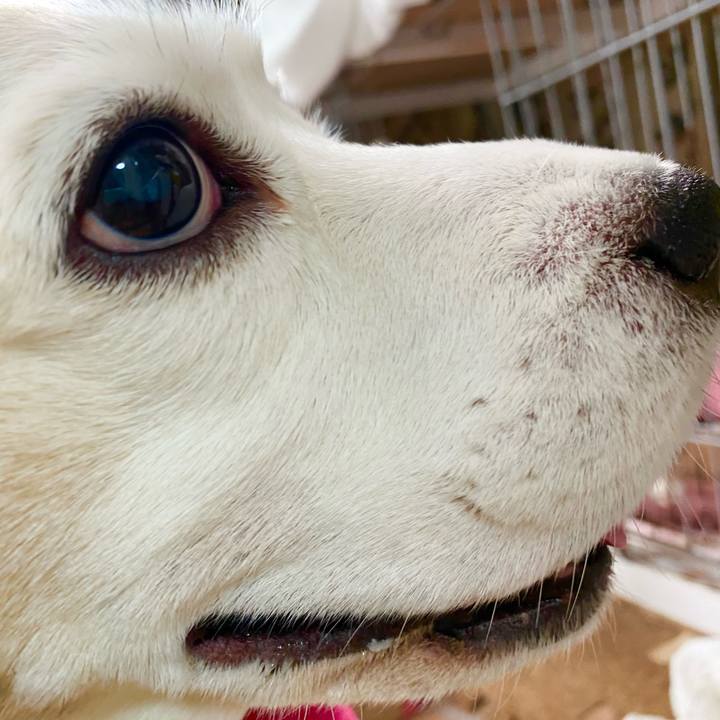 Cf876e28 025d 4dff 8141 83ea79343355 1643171389714