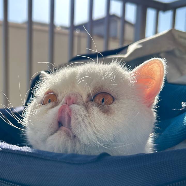 Cf87aee7 5662 4c3d a33b ce6438869544 1704084311161