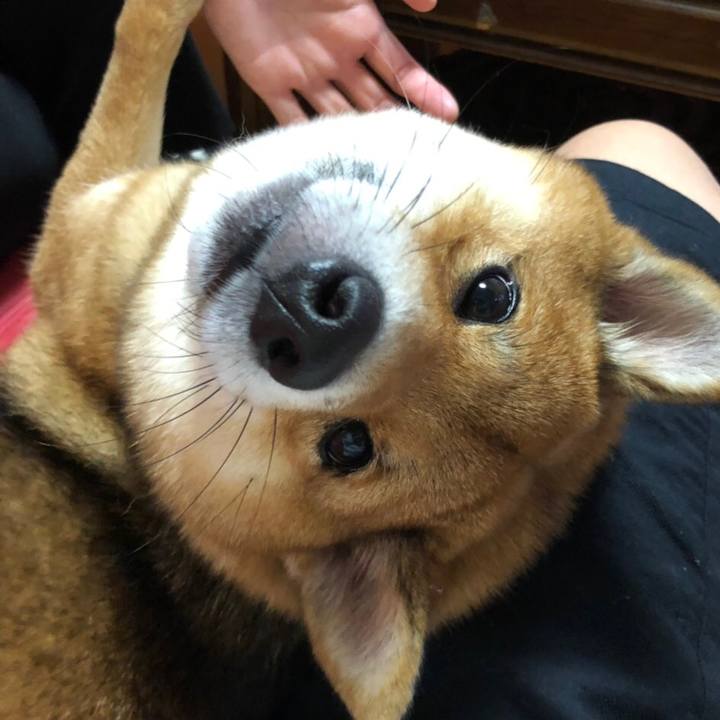 Cf87ec88 97c3 4f1f 8e59 2782c1b251b6 1540819646953