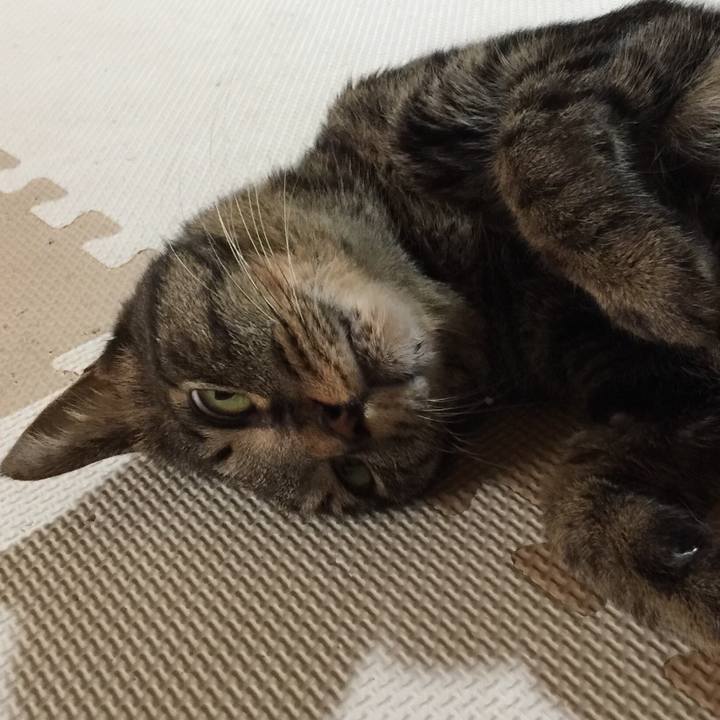 Cf8809d8 bf3d 4ee9 9591 a9bbe268a08c 1538651626470