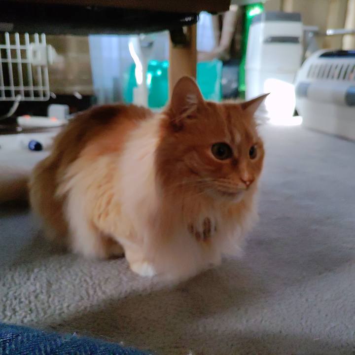 Cf88449b 0259 43b0 8a9e 9b26bc00f2dc 1681337519414