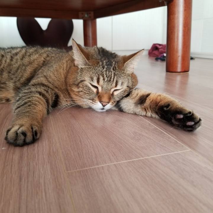 Cf886eca b899 41bd a22e a18c3b2c091e 1577928242594