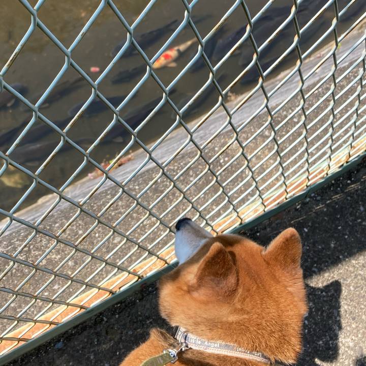 Cf88707e a733 4105 ba0d 6f5f12a11d0a 1683789042128