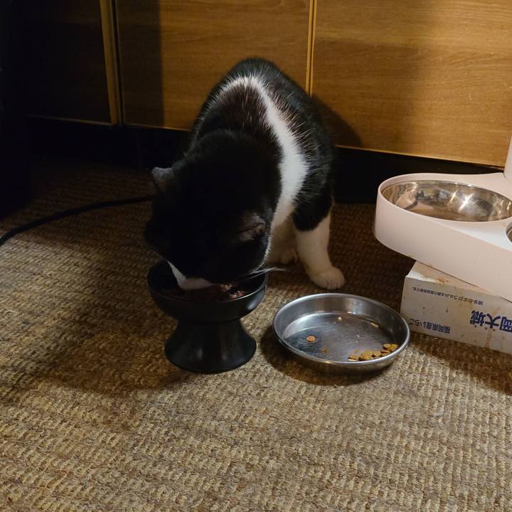 Cf88a692 dd75 4baf 8179 137923c35f31 1763720904472