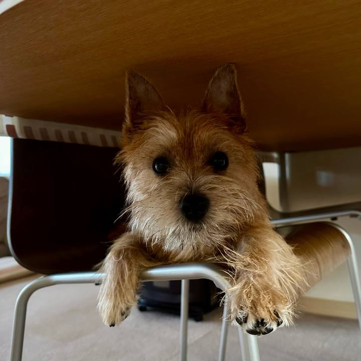 Cf88e141 0723 4fac be8e 163c6b0e1c9e 1725434044513