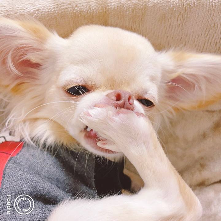 Cf890591 4c09 464e aeb2 f1c35c803b50 1606538098535