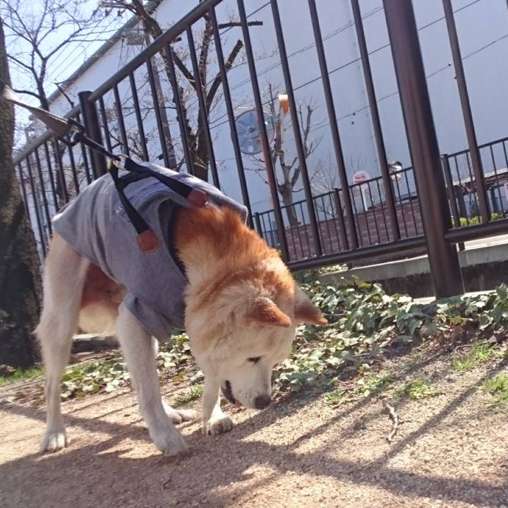 Cf891bba a651 4e0b a468 13cc31173bc9 1583889263859